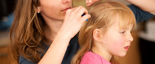 Вши у детей: как появляются и как с ними бороться 2